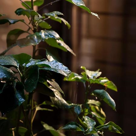 Kanazawa Machiya Kenroku Exteriör bild