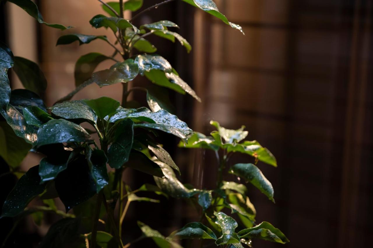 Kanazawa Machiya Kenroku Exteriör bild